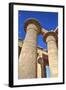 Column Reliefs, Hypostyle Hall, the Ramesseum (Mortuary Temple of Ramese Ii)-Richard Maschmeyer-Framed Photographic Print