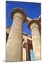 Column Reliefs, Hypostyle Hall, the Ramesseum (Mortuary Temple of Ramese Ii)-Richard Maschmeyer-Mounted Photographic Print