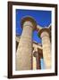 Column Reliefs, Hypostyle Hall, the Ramesseum (Mortuary Temple of Ramese Ii)-Richard Maschmeyer-Framed Photographic Print