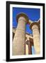 Column Reliefs, Hypostyle Hall, the Ramesseum (Mortuary Temple of Ramese Ii)-Richard Maschmeyer-Framed Photographic Print