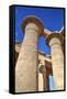 Column Reliefs, Hypostyle Hall, the Ramesseum (Mortuary Temple of Ramese Ii)-Richard Maschmeyer-Framed Stretched Canvas