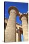 Column Reliefs, Hypostyle Hall, the Ramesseum (Mortuary Temple of Ramese Ii)-Richard Maschmeyer-Stretched Canvas