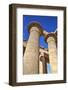 Column Reliefs, Hypostyle Hall, the Ramesseum (Mortuary Temple of Ramese Ii)-Richard Maschmeyer-Framed Photographic Print