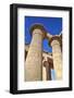 Column Reliefs, Hypostyle Hall, the Ramesseum (Mortuary Temple of Ramese Ii)-Richard Maschmeyer-Framed Photographic Print