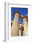 Column Reliefs, Hypostyle Hall, the Ramesseum (Mortuary Temple of Ramese Ii)-Richard Maschmeyer-Framed Photographic Print