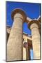 Column Reliefs, Hypostyle Hall, the Ramesseum (Mortuary Temple of Ramese Ii)-Richard Maschmeyer-Mounted Photographic Print