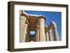 Column Reliefs, Hypostyle Hall, the Ramesseum (Mortuary Temple of Ramese Ii)-Richard Maschmeyer-Framed Photographic Print