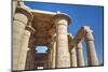 Column Reliefs, Hypostyle Hall, the Ramesseum (Mortuary Temple of Ramese Ii)-Richard Maschmeyer-Mounted Photographic Print