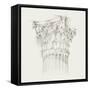 Column Schematic IV-Ethan Harper-Framed Stretched Canvas