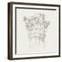 Column Schematic IV-Ethan Harper-Framed Art Print