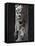 Column Statue of St Philibert, Romanesque Art-null-Framed Stretched Canvas
