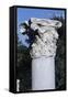 Column with a Capital in the Greek Agora, Athens-null-Framed Stretched Canvas