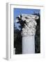 Column with a Capital in the Greek Agora, Athens-null-Framed Giclee Print