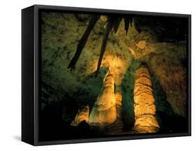 Columns and Domes in the Big Room, Carlsbad Caverns National Park, New Mexico, USA-Scott T. Smith-Framed Stretched Canvas