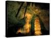 Columns and Domes in the Big Room, Carlsbad Caverns National Park, New Mexico, USA-Scott T. Smith-Stretched Canvas