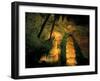 Columns and Domes in the Big Room, Carlsbad Caverns National Park, New Mexico, USA-Scott T. Smith-Framed Premium Photographic Print