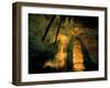 Columns and Domes in the Big Room, Carlsbad Caverns National Park, New Mexico, USA-Scott T. Smith-Framed Photographic Print