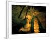 Columns and Domes in the Big Room, Carlsbad Caverns National Park, New Mexico, USA-Scott T. Smith-Framed Photographic Print