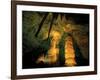 Columns and Domes in the Big Room, Carlsbad Caverns National Park, New Mexico, USA-Scott T. Smith-Framed Photographic Print