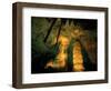 Columns and Domes in the Big Room, Carlsbad Caverns National Park, New Mexico, USA-Scott T. Smith-Framed Photographic Print