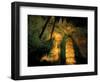 Columns and Domes in the Big Room, Carlsbad Caverns National Park, New Mexico, USA-Scott T. Smith-Framed Photographic Print