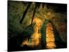 Columns and Domes in the Big Room, Carlsbad Caverns National Park, New Mexico, USA-Scott T. Smith-Stretched Canvas