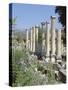 Columns, Archaeological Site, Aphrodisias, Anatolia, Turkey-R H Productions-Stretched Canvas