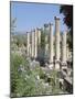 Columns, Archaeological Site, Aphrodisias, Anatolia, Turkey-R H Productions-Mounted Photographic Print