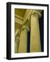 Columns at Jefferson Memorial-Rudy Sulgan-Framed Photographic Print