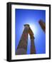 Columns Blocking Sun-Robert Landau-Framed Photographic Print