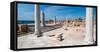 Columns in archaeological site in ancient port city of Caesarea, Israel-null-Framed Stretched Canvas