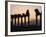 Columns in Public Building, Probably the Court of Justice, Baalbek, Lebanon, Middle East-Fred Friberg-Framed Photographic Print