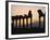 Columns in Public Building, Probably the Court of Justice, Baalbek, Lebanon, Middle East-Fred Friberg-Framed Photographic Print