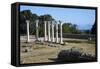 Columns in the Ancient Greek City of Asklepieion, Kos, Dodecanese, Greek Islands, Greece, Europe-null-Framed Stretched Canvas