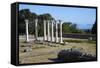 Columns in the Ancient Greek City of Asklepieion, Kos, Dodecanese, Greek Islands, Greece, Europe-null-Framed Stretched Canvas