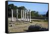 Columns in the Ancient Greek City of Asklepieion, Kos, Dodecanese, Greek Islands, Greece, Europe-null-Framed Stretched Canvas