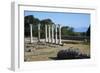 Columns in the Ancient Greek City of Asklepieion, Kos, Dodecanese, Greek Islands, Greece, Europe-null-Framed Photographic Print