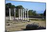 Columns in the Ancient Greek City of Asklepieion, Kos, Dodecanese, Greek Islands, Greece, Europe-null-Mounted Photographic Print