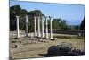 Columns in the Ancient Greek City of Asklepieion, Kos, Dodecanese, Greek Islands, Greece, Europe-null-Mounted Photographic Print