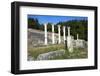 Columns in the Ancient Greek City of Asklepieion, Kos, Dodecanese, Greek Islands, Greece, Europe-null-Framed Photographic Print