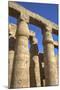 Columns in the Court of Ramses Ii, Luxor Temple, Luxor, Thebes, Egypt, North Africa, Africa-Richard Maschmeyer-Mounted Photographic Print