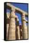 Columns in the Court of Ramses Ii, Luxor Temple, Luxor, Thebes, Egypt, North Africa, Africa-Richard Maschmeyer-Framed Stretched Canvas