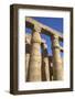 Columns in the Court of Ramses Ii, Luxor Temple, Luxor, Thebes, Egypt, North Africa, Africa-Richard Maschmeyer-Framed Photographic Print