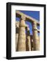 Columns in the Court of Ramses Ii, Luxor Temple, Luxor, Thebes, Egypt, North Africa, Africa-Richard Maschmeyer-Framed Photographic Print