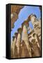 Columns in the Great Hypostyle Hall, Karnak Temple, Luxor, Thebes, Egypt, North Africa, Africa-Richard Maschmeyer-Framed Stretched Canvas