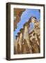 Columns in the Great Hypostyle Hall, Karnak Temple, Luxor, Thebes, Egypt, North Africa, Africa-Richard Maschmeyer-Framed Photographic Print