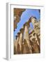 Columns in the Great Hypostyle Hall, Karnak Temple, Luxor, Thebes, Egypt, North Africa, Africa-Richard Maschmeyer-Framed Photographic Print