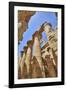 Columns in the Great Hypostyle Hall, Karnak Temple, Luxor, Thebes, Egypt, North Africa, Africa-Richard Maschmeyer-Framed Photographic Print