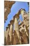 Columns in the Great Hypostyle Hall, Karnak Temple, Luxor, Thebes, Egypt, North Africa, Africa-Richard Maschmeyer-Mounted Photographic Print