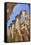 Columns in the Great Hypostyle Hall, Karnak Temple, Luxor, Thebes, Egypt, North Africa, Africa-Richard Maschmeyer-Framed Stretched Canvas